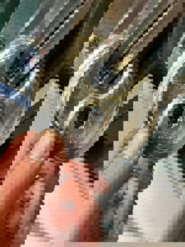 Storage Unit Lockout in Palm Coast 32136